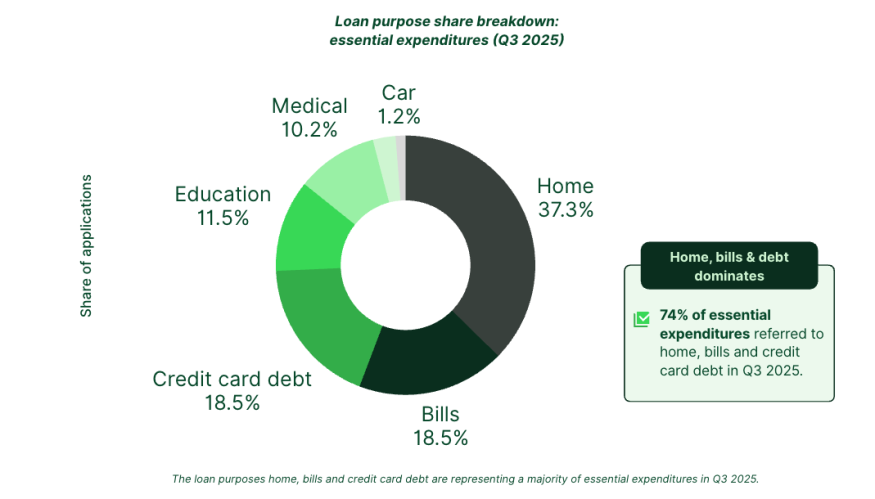 Loan purpose share breakdown